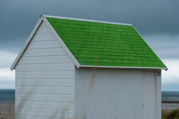 Comment découvrir les traditions de la culture Mapuche au Chili?