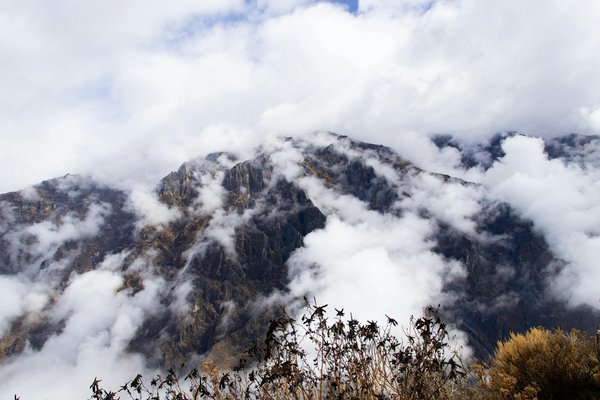 Quelles croisières offrent des excursions pour explorer les cavernes de glace en Patagonie?